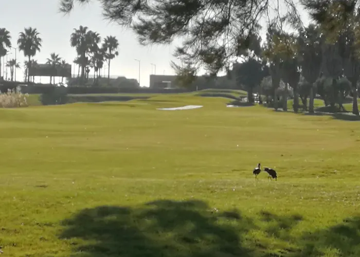 Salgados Beach&golf - Dos Salgados 아파트 *